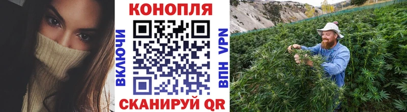 Купить где  Чишмы  Марихуана VHQ 